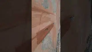Building in the UAE's desert environment presents unique challenges