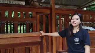 DEK YAYA.ARTIS TIK TOK VIRAL... BLANTIK CANTIK WONOGIRI