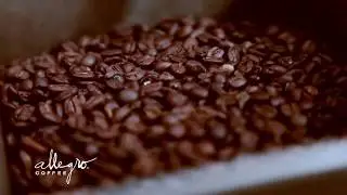 Swiss Water Decaf Process