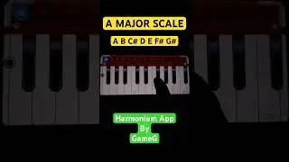 A Major Harmonium Scale 🎶🎶🎶 #shortsvideo #music