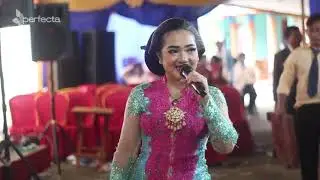 KEMBANG RAWE DANGDUT GARAP SRAGENAN - ATIKA - CAMPURSARI PURWO WILIS || MR. AUDIO