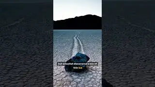 These Rocks Move On Their Own?! 🪨 | The Mystery of Death Valley #shorts