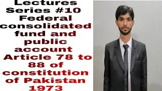 Federal consolidated fund and public account