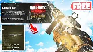 HOW TO GET FREE VANGUARD BETA CODE + HOW TO GET FREE XM4 CDL CHAMPIONSHIP BLUEPRINT!