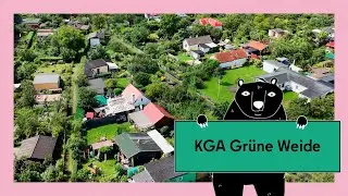 Gärtnern in der Kleingartenanlage: Grüne Weide in Treptow-Köpenick