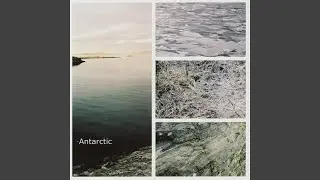 Pasea la Salamandria