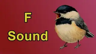 The F Sound Sonnet | Phonemic Awareness Poetry