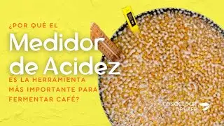 ¿Por qué es un ERROR creer que el pH (o nivel de ACIDEZ) es un objetivo en fermentación de café?