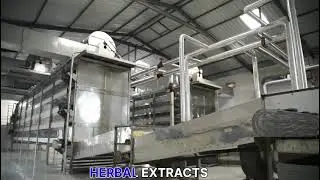 Chinese Extracts Standard  Herbal Extract Natural Essential Oils Phyto Chemical