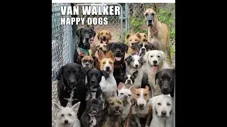 Van Walker | Happy Dogs