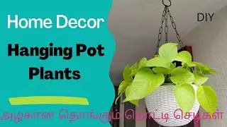 DIY Hanging Pot Setup: Elevate Your Plants with Style! Wall hanging pot plant தொங்கு-தொட்டி செடிகள்
