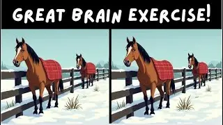 Spot The Difference. Can You Solve These Brain Teasers? (Difficult)