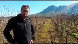 What is unique about Lourensford's terroir? {Cape Wine 2015}