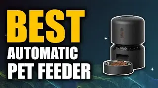 Top 5 Best Automatic Pet Feeder | Don't Buy One Before Watching This