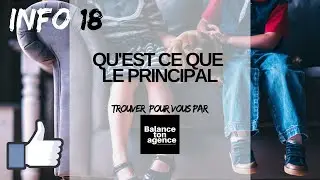 18  Qu'est ce que le PRINCIPAL pour immo pour les nuls