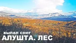 АЛУШТА. А в ГОРАХ ВЫПАЛ СНЕГ. ОЧЕНЬ КРАСИВО. ПРОГУЛЯЕМСЯ и ПОЛЮБУЕМСЯ. ДЕКАБРЬ. КРЫМ 2021