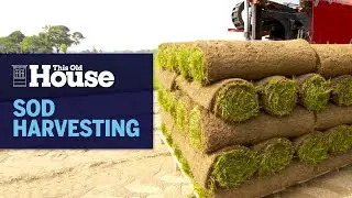 How Sod Is Harvested | This Old House