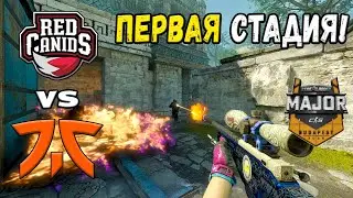 fnatic vs RED Canids - ЛУЧШИЕ МОМЕНТЫ - StarLadder Budapest Major 2025