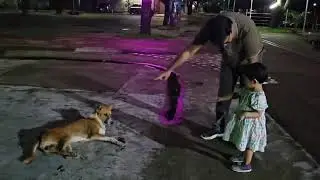 Dog k jete bolchi o jache na ejonno ore boka dichi 