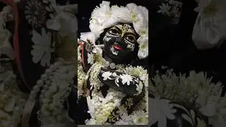 ek bar Vrindavan Aakar ke Dekho