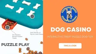 Interactive Treat Puzzle Dog Toy - Your FRENCHIE BLOG!