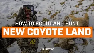 Tips for Beginner Coyote Hunters | What is Good Coyote Land?