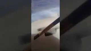 Trying watercolour art! l Minty Turtle #short