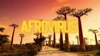Instru Type Afro | NZA (AFROVIRUS)