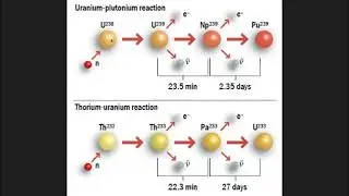 Reactors I have known and loved: The Molten Chloride Salt Fast Reactor