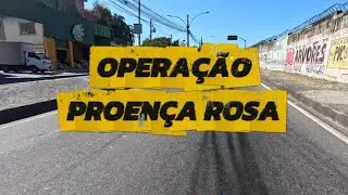 PROENÇA ROSA 