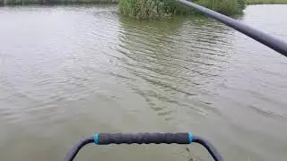 Peche de la Carpe au coup et touche en direct