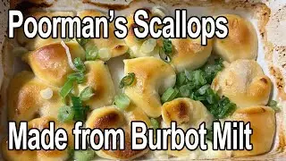 Poor man's scallops -made from burbot-