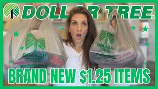 BRAND NEW! DOLLAR TREE HAUL | HUGE $1.25 FINDS (MAKEUP TO GET NOW!)