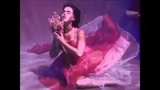 D.K.denz - Stardust Peeling