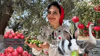 Village Life in Iran: Garden Harvest & Cooking Traditional food | rural lifestyle