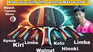 The Hidden Secret of Table Tennis Bats Wood Matters!