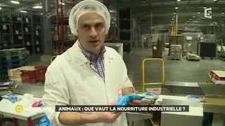 Que contient vraiment la nourriture pour animaux ?