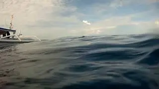 Finis Rapid Monofin,  Finis Rapid In Action, Monofin