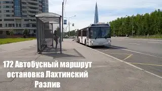 Прибытие и отравление автобуса 172 на и с остановки Лахтинский разлив.
