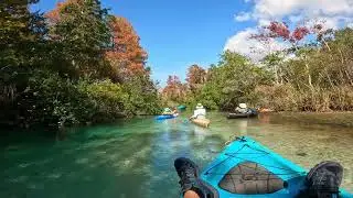 Kayaking Weeki Wachee  Spring Run to Bayport Park 