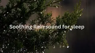 1 Hour Cozy Rain on Windowpane | Gentle Downpour for Deep Sleep & Relaxation 🌧️