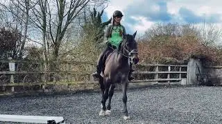 Tango boy. First trot