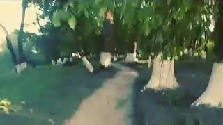 Прогулка по парку. Timelapse.