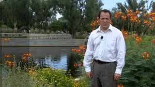 How Many Suffer With Chronic Pain In America? Pain Treatment in AZ (602) 507-6550