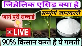 Gibberellic Acid डालते समय ना करें ये बङी गलती किसान ,सम्पूंर्ण जानकारी Live!
