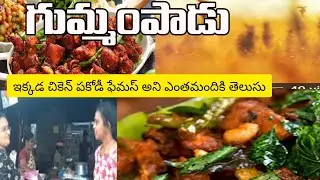 // Gummampadu Village//This Place is Famous For  Chicken Pakodi #travelvlog #travel