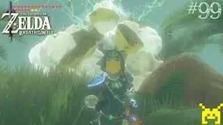 The Legend of Zelda: Breath of the Wild - Qukah Nata Shrine: A Song of Storms (Nintendo Switch)
