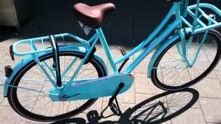 Vogue Elite Transportfiets 28 inch mint groen