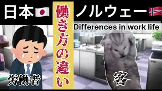 ノルウェーと日本働き方の違い The difference of working culture between Norway and Japan by Japanese girl in Europe