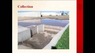 Evaluation of Feed Storage Runoff Water Quality and Recommendations on Collection System Design